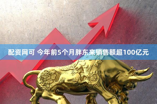 配资网可 今年前5个月胖东来销售额超100亿元