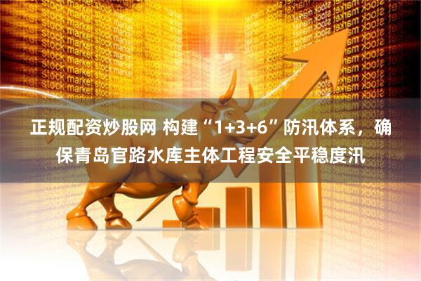 正规配资炒股网 构建“1+3+6”防汛体系，确保青岛官路水库主体工程安全平稳度汛